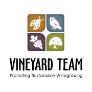 Vineyard Team logo_2013-01